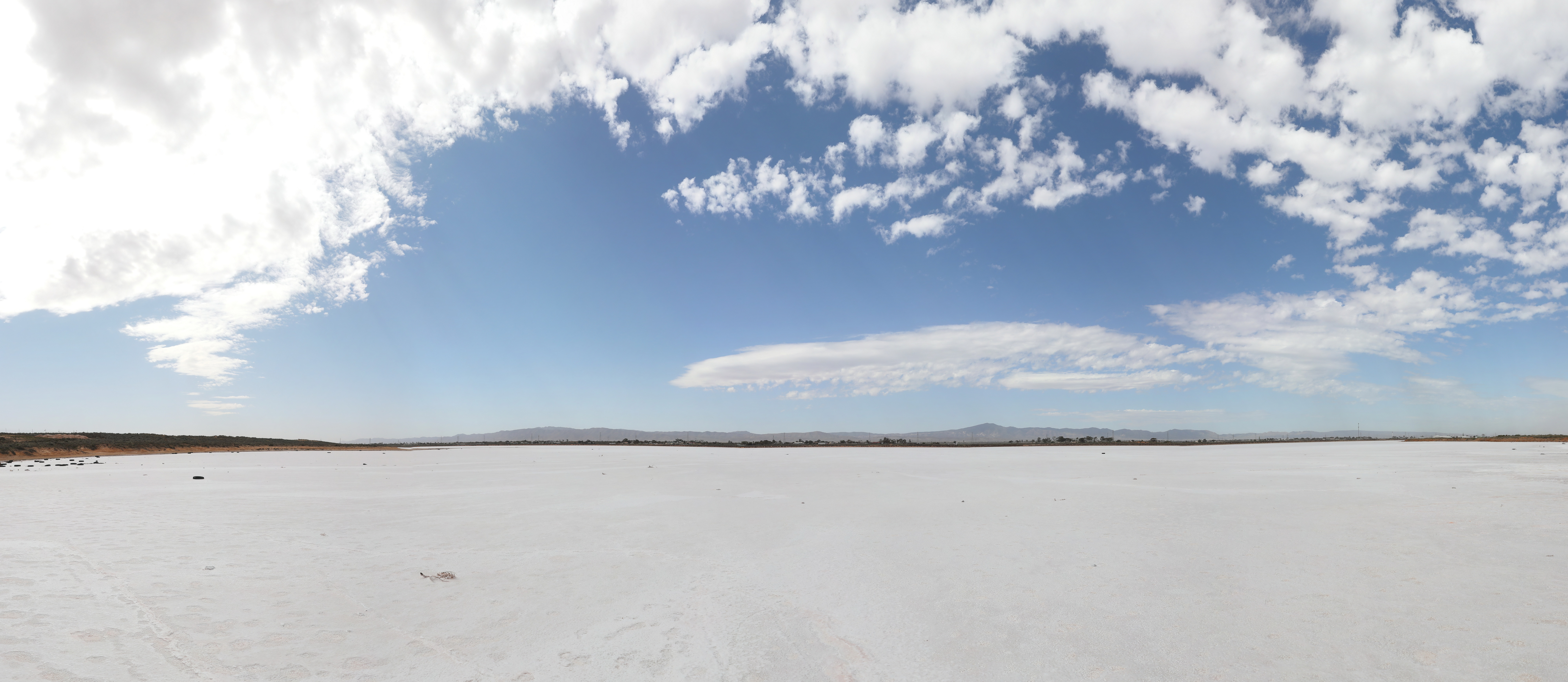 2019 09 02 12 50 22 Canon EOS 5D Mark IV 0026